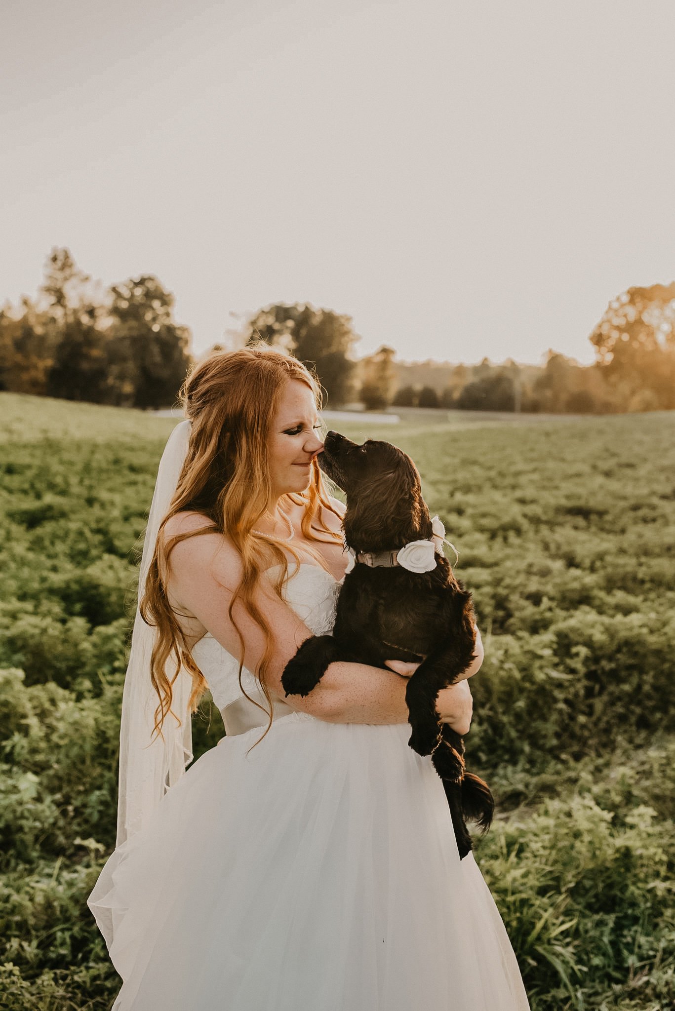April Wild wedding photograph 21
